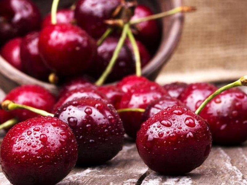 Вишня купить саженцы из питомника в Скадовске